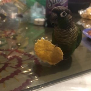 Meet your Posher, Miguel